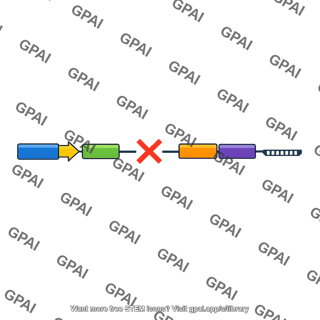 Dna construct deleted