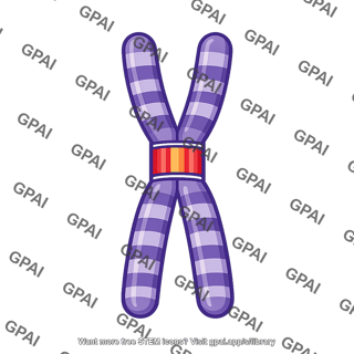 Chromosome
