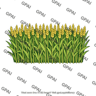 Cereal field