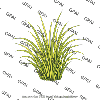 Grass clump