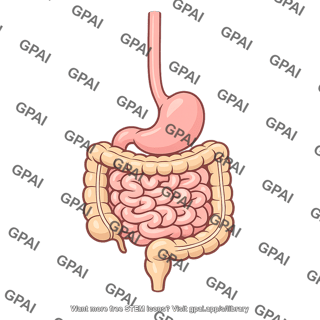 Digestive tract