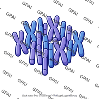 Eukaryotic genome condensed chromosomes