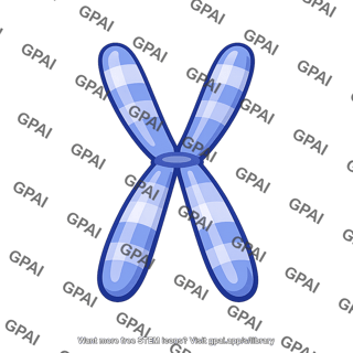 Sex chromosome x