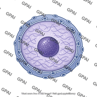 Cell nucleus with nuclear envelope pores