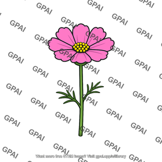 Pink cosmos flower