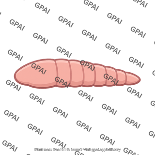 Invertebrate