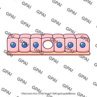 Cuboidal epithelium
