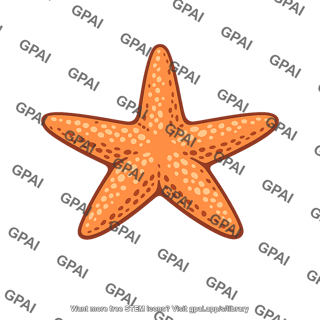 Sea star marine invertebrate