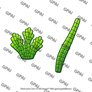 Multicellular haploid form