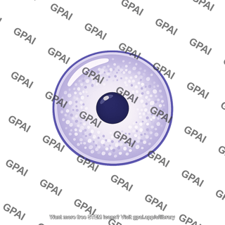 Nucleolus forming