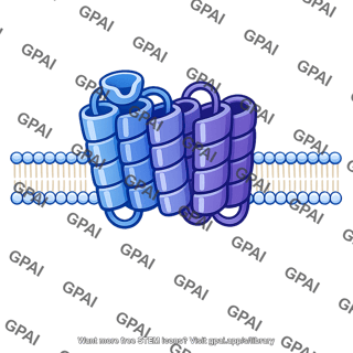 Multi pass transmembrane receptor