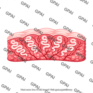 Secretory phase