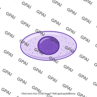 Tube cell nucleus