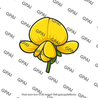 Scottish broom flower