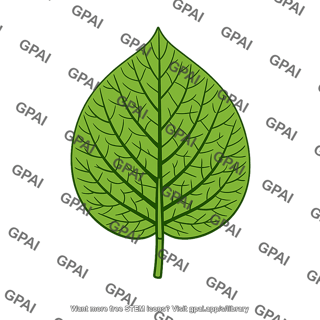 Seed plant megaphyll