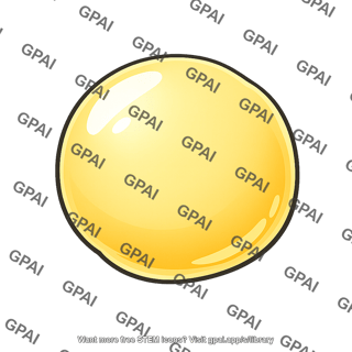Fat globule