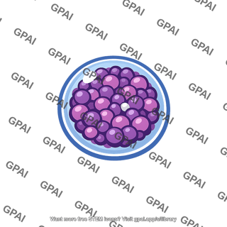 Cell fragment membrane bounded