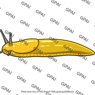 Banana slug
