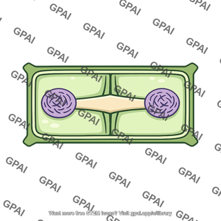 Plant cell dividing