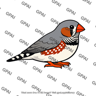 Zebra finch