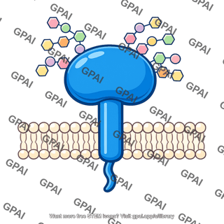 Cell surface protein glycosylated