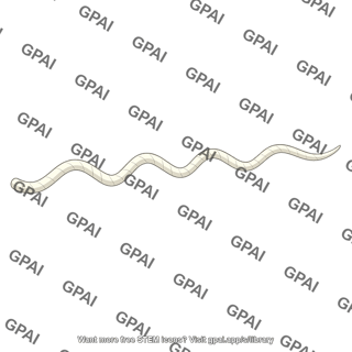 Flagellar filament
