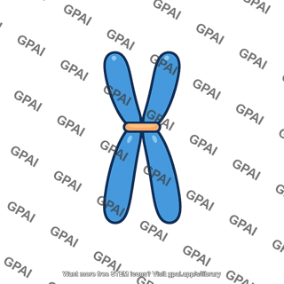 Chromosome medium