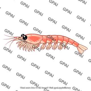 Krill