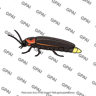 Firefly