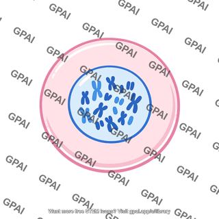 Zygote sterile