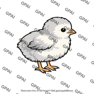 Chick gray white