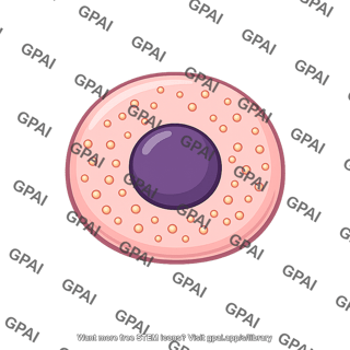 Insulin secreting cell