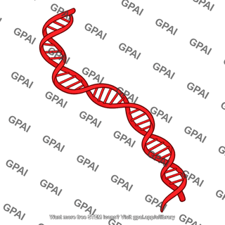 Dna double helix