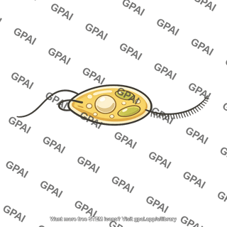 Stramenopile