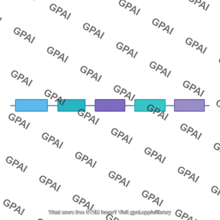 Multi exon gene