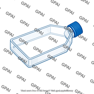 Culture flask