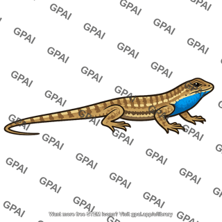 Male lizard blue throat