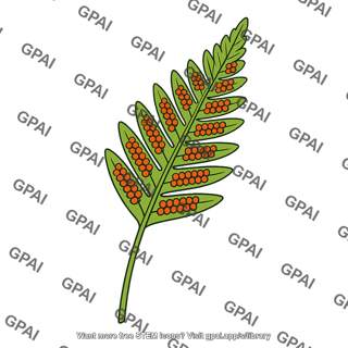 Fern sporophyll