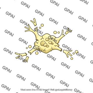 Neuron programmed death