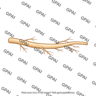 Host root