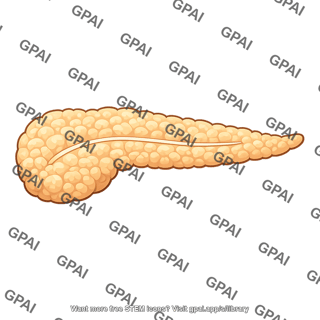 Pancreas