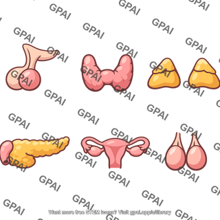 Endocrine system