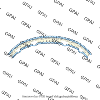Terminal membrane