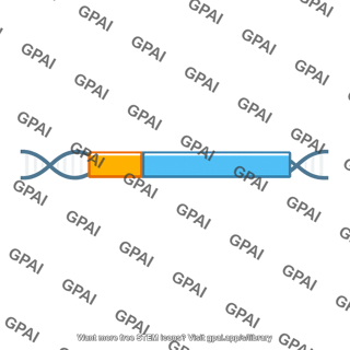 Promoter sequence