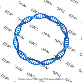 Dna mitochondrial