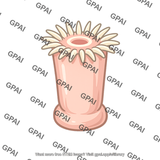 Coral polyp