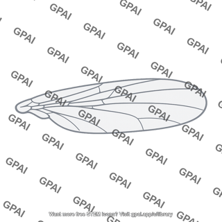 Wing normal