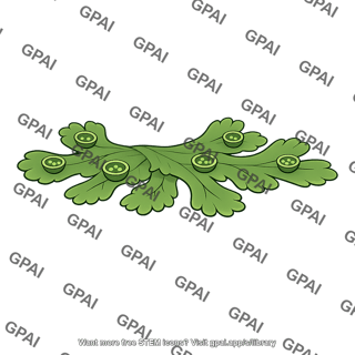 Thalloid liverwort