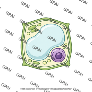 Single plant cell