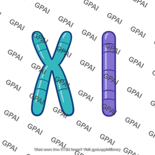 Nonhomologous chromosome
